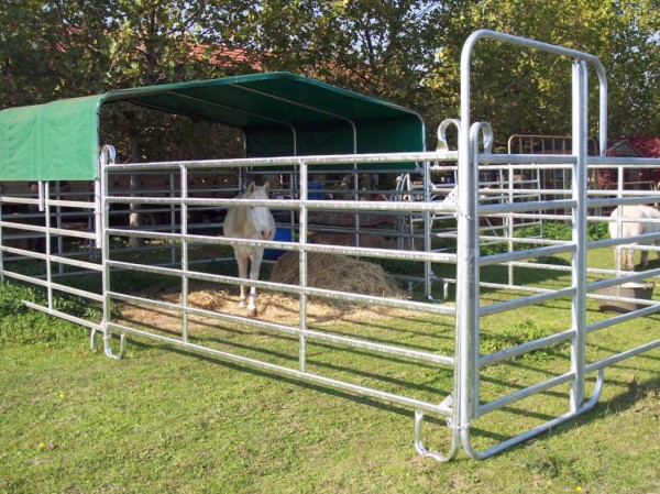 Weideunterstand 360 mit Paddock Auslauf