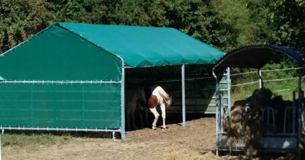 XXL Weideunterstand 8x4m mit Dachplane, Panels + Windschutz
