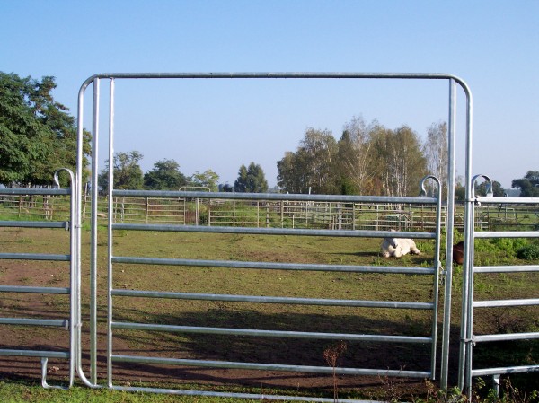 Weidetor Schwingtor 360