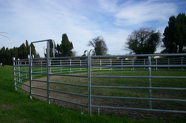 Reitplatz Roundpen Reitzirkel 14